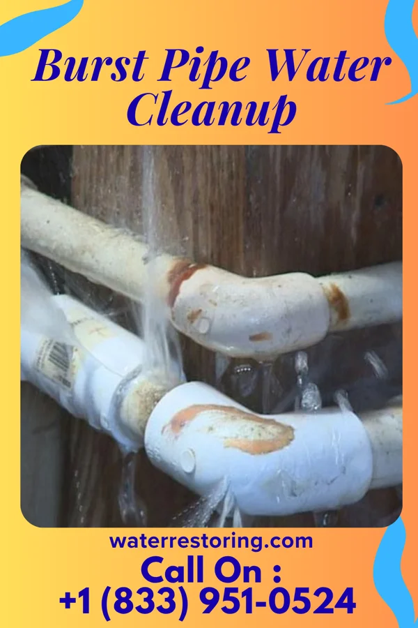 Burst Pipe Water Cleanup in Adelphi, MD