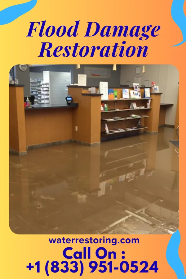 Flood Damage Restoration in Adelphi, MD