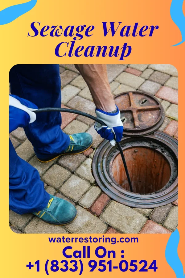 Sewage Water Cleanup in Adelphi, MD